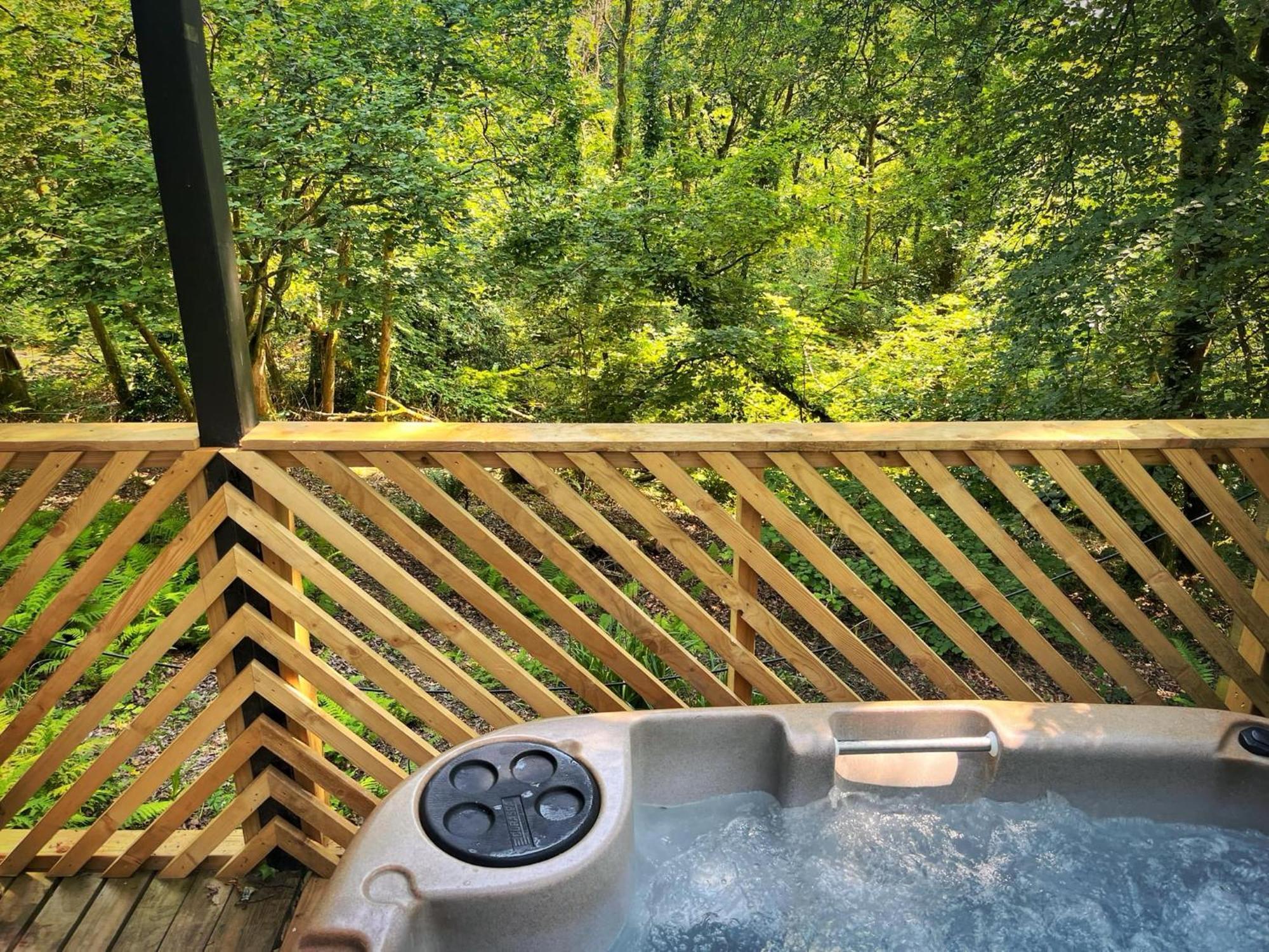 Goldcrest 3-Hot Tub-Woodland Lodges-Carmarthenshire-Tenby Extérieur photo