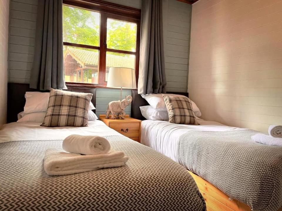 Goldcrest 3-Hot Tub-Woodland Lodges-Carmarthenshire-Tenby Extérieur photo