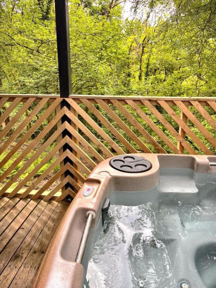 Goldcrest 3-Hot Tub-Woodland Lodges-Carmarthenshire-Tenby Extérieur photo